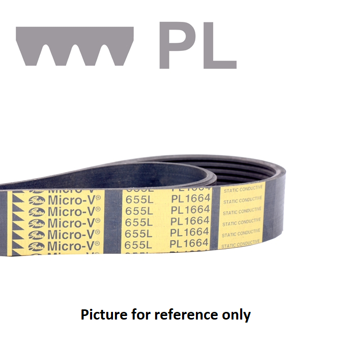 4CB02072 - POLY-V-BELT