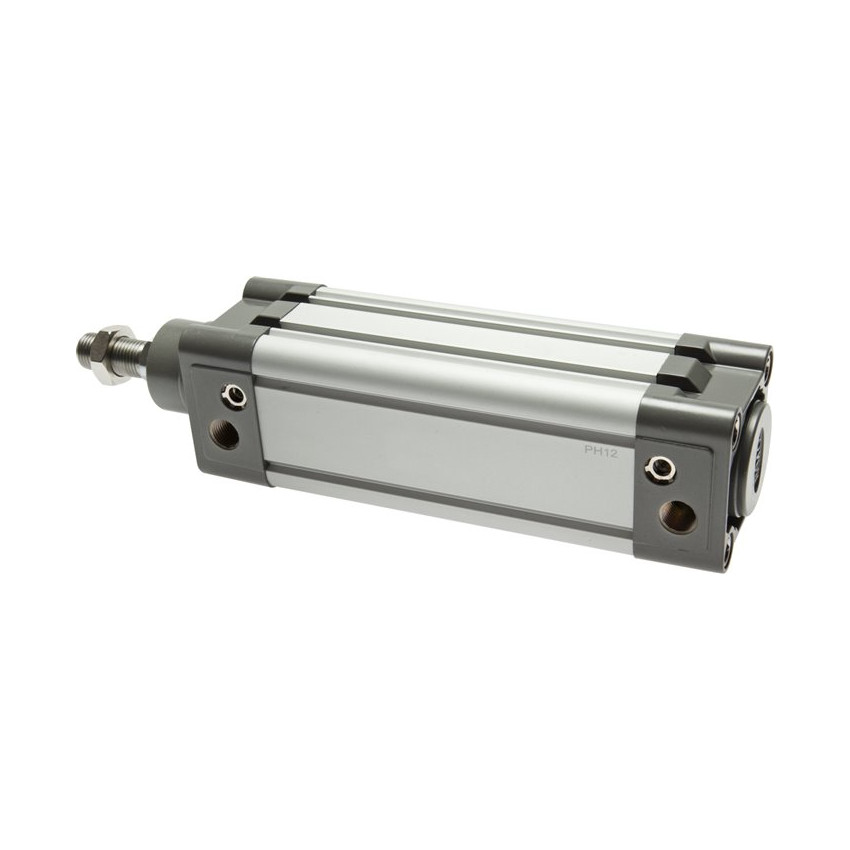 4CB81956 - JACK