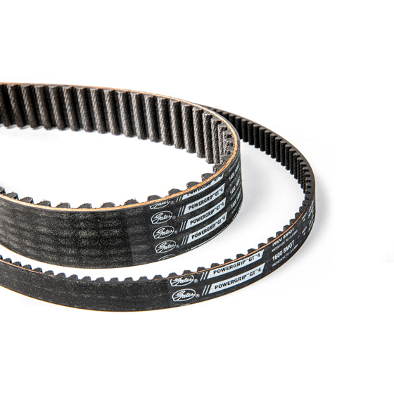 4CB70818 - TOOTHED BELT